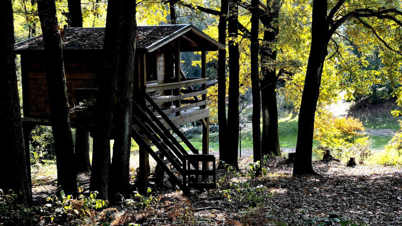 Вілла La Raffa House - Green House Аркоре Екстер'єр фото